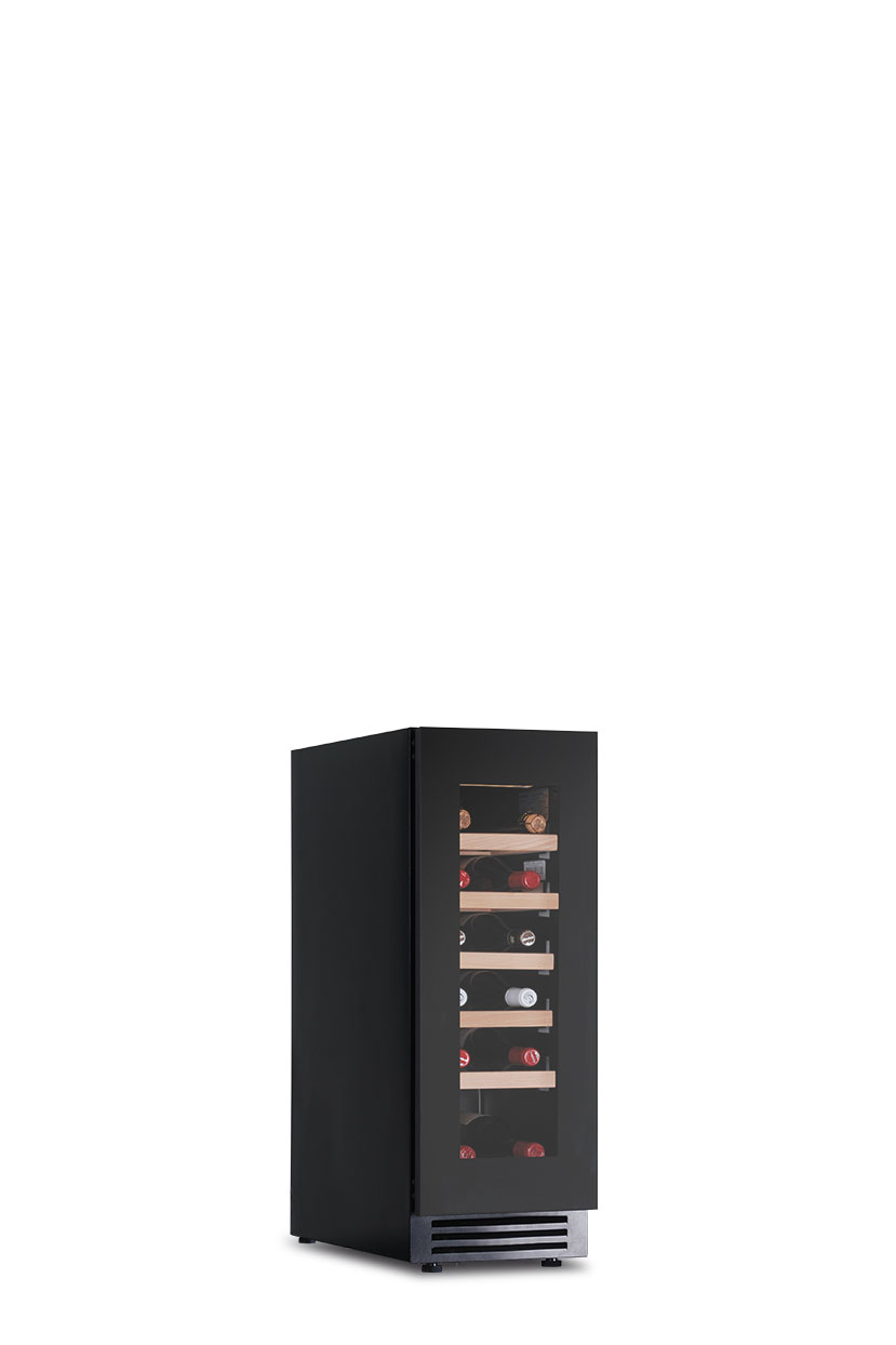 DW 20 F1T